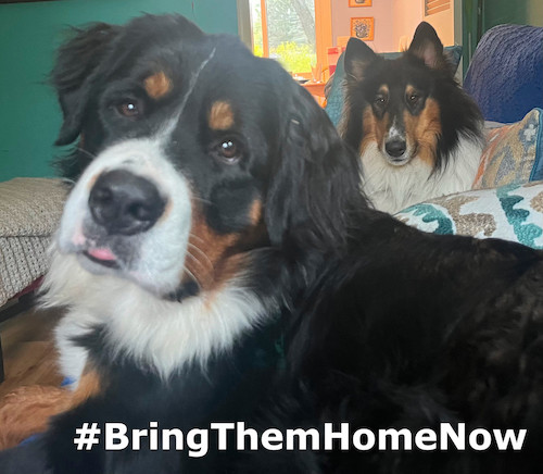 #BringThemHomeNow